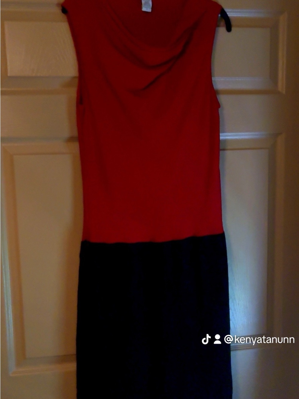 Diane Von Furstenberg Red and Black Sleeveless Draped Neck Dress